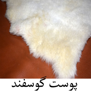 پوست گوسفند دباغی شده