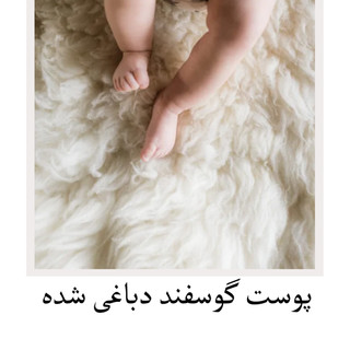 پوست گوسفند دباغی شده