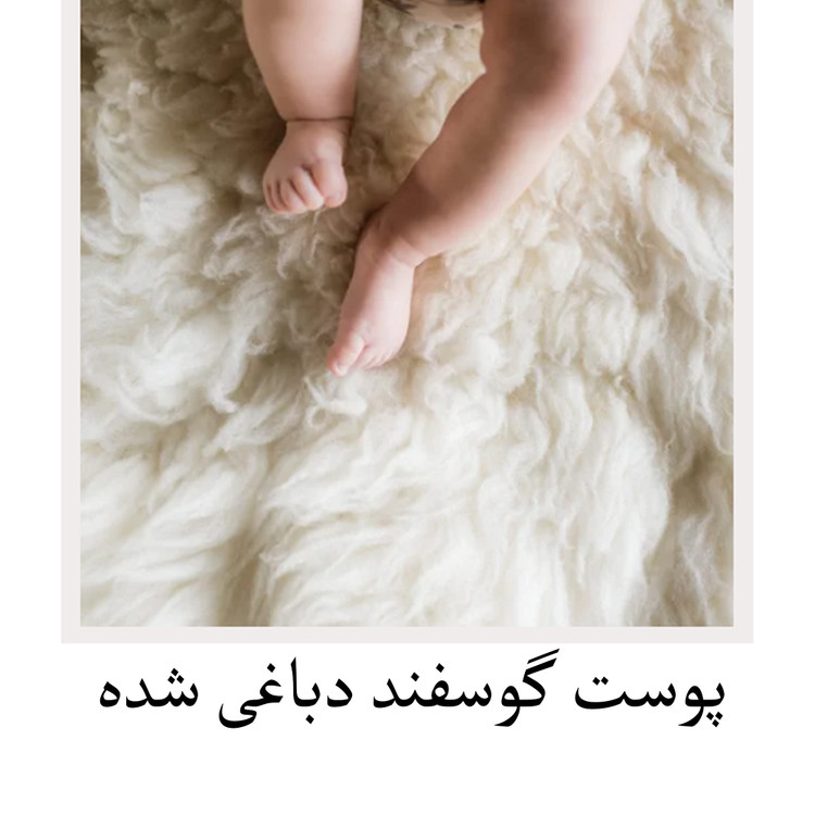 پوست گوسفند دباغی شده