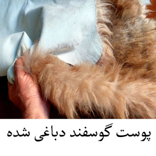 پوست گوسفند دباغی شده