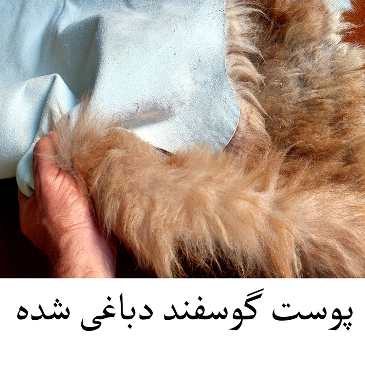 پوست گوسفند دباغی شده