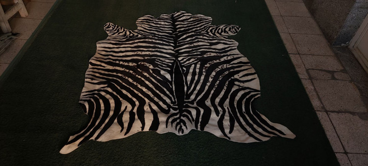 ZEBRA