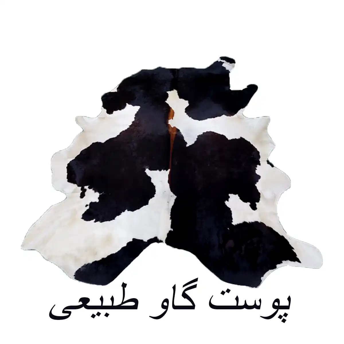 پوست گاو طبیعی