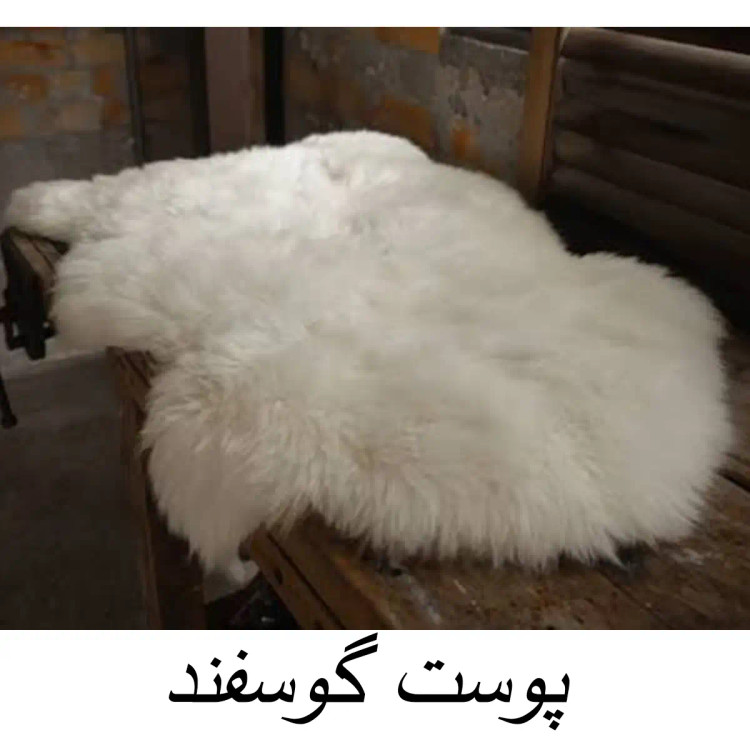 پوست گوسفند
